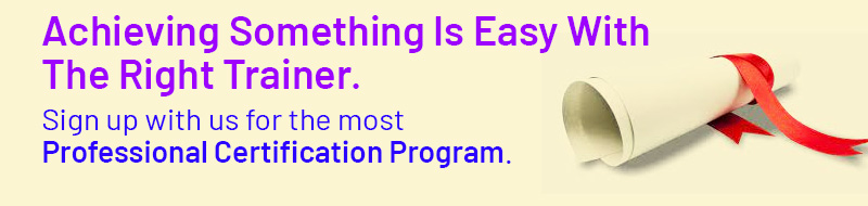 Professional certification program